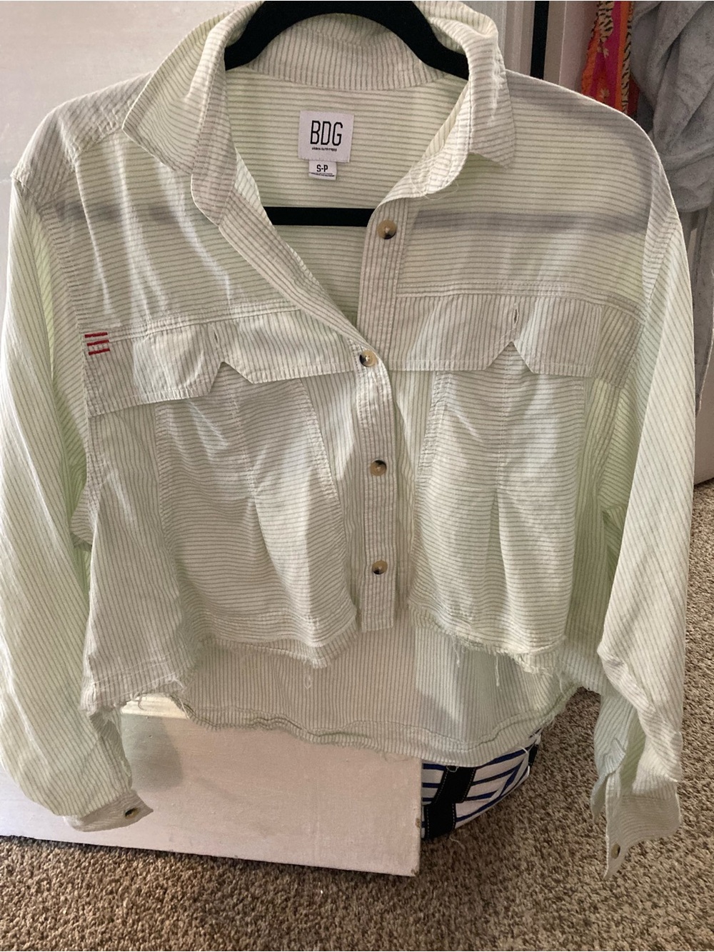 BDG Pale Green Striped Cropped Button-Down Shirt